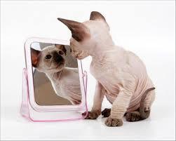 SPECCHIO SPECCHIO DELLE MIE BRAME... CHI E' ER MEJO DEL REAME ?? - 17/03/2012