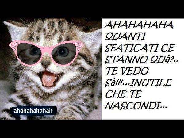 NUN TE POI NASCONNE ! - 11/11/2012