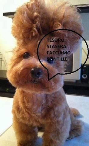 SO' PRONTO !! - 12/11/2012