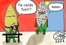 Vignetta Divertente - 29/04/2012
