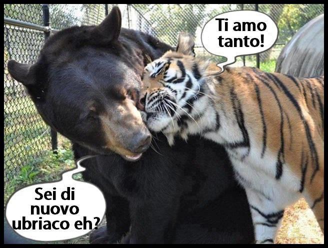 CHE STAI A FA ?! - 07/10/2012