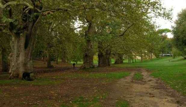 ROMA, RITO SATANICO A VILLA BORGHESE: TROVATO UN CUORE - 25/12/2012