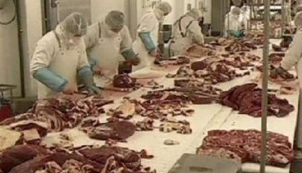 CARNE DI CAVALLO, TERZO CASO IN ITALIA: TRACCE IN PASTA RIPIENA - 01/03/2013