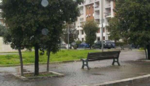 ROMA, PENSIONATO AVVELENA I CANI AL PARCO PUBBLICO: DENUNCIATO - 16/03/2013
