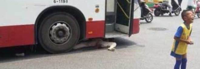 NONNINA INVESTITA DALL'AUTOBUS: LA FOLLA SCATTA FOTO E NON LA SOCCORRE - 11/07/2013