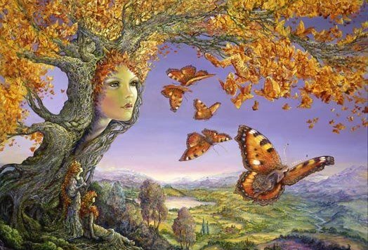 E TU CHE ALBERO SEI... ?? - 05/12/2013