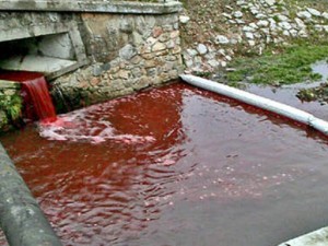 IL MISTERO DEL FIUME CHE IN UNA NOTTE DIVENTA ROSSO SANGUE - 05/12/2013