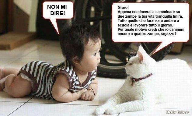 NUN ME DI' !! - 07/05/2012