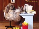 FAMME VEDE' CHI C'E' IN CHAT !! - 10/03/2012