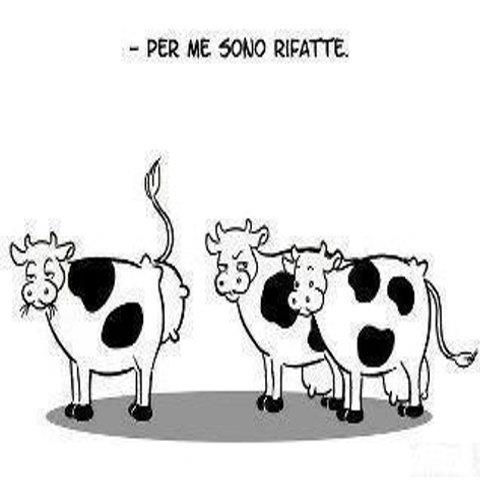 Vignetta Divertente - 02/05/2012