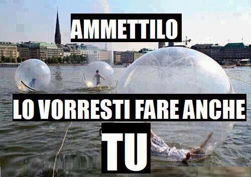 Immagine Divertente - 09/05/2013