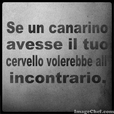 Immagine Divertente - 15/05/2013