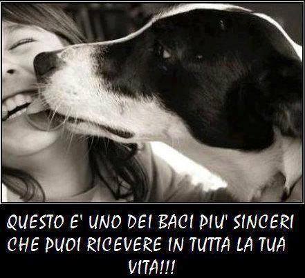 Immagine Divertente - 19/05/2013