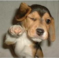 GIVE ME FIVE === DAMME ER CINQUE - 10/03/2012