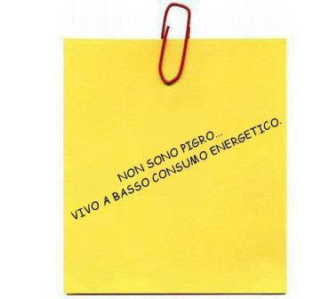 Immagine Divertente - 22/05/2013