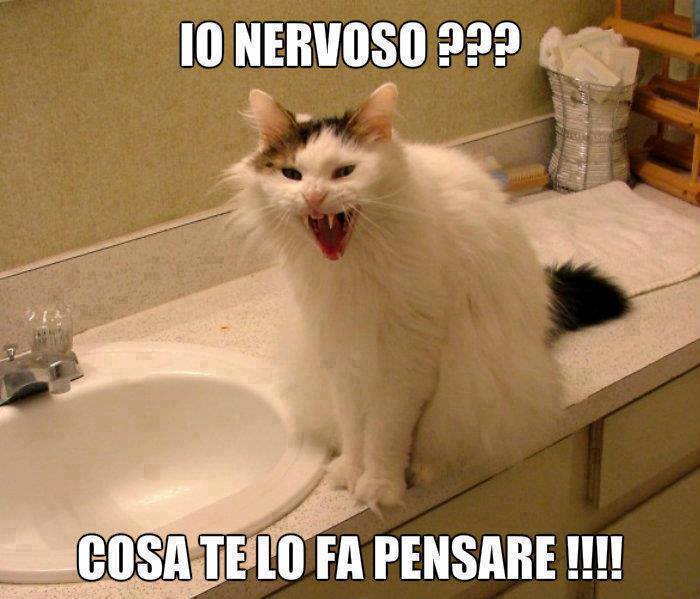 Immagine Divertente - 30/05/2013