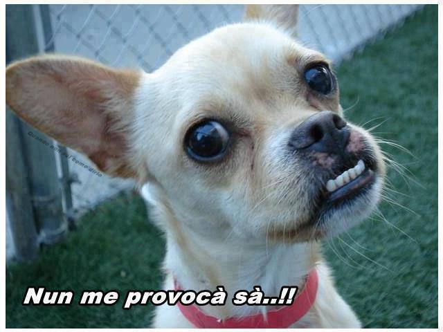 SO' STATO CHIARO ?? - 30/05/2013