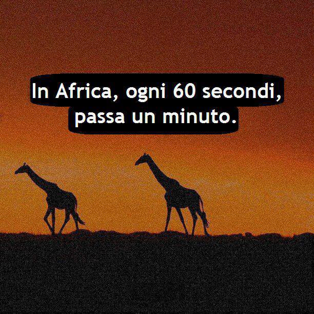 Immagine Divertente - 03/07/2013