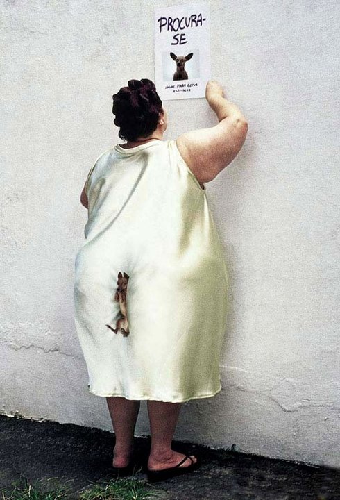 Immagine Divertente - 25/03/2012