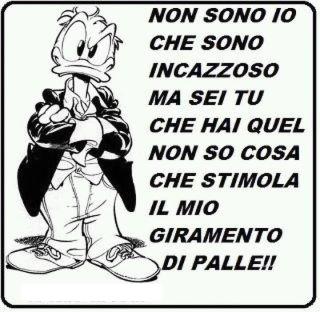IO SO' 'NA PERSONA CALMA !! - 08/05/2012