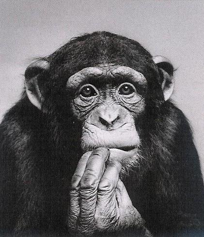 SE 'E COSE NUN LE SAI... SALLE !! - 16/03/2012