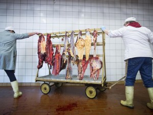 Sequestrate cinque tonnellate di carne avariata: veniva venduta insieme alla carne fresca - 12/03/2013