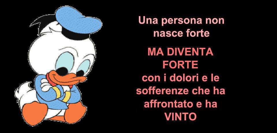 Immagine Divertente - 30/03/2013