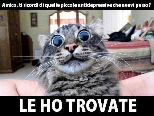 Immagine Divertente - 28/05/2013