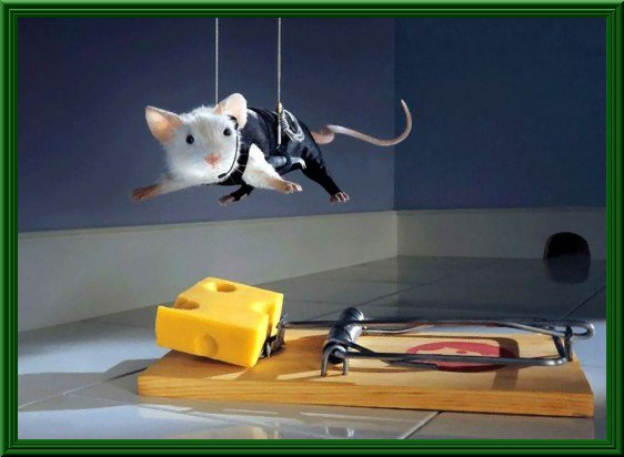 Immagine Divertente - 25/03/2012