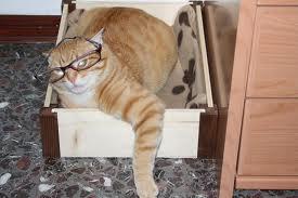 NUN SO STANCO... SO DIVERSAMENTE ATTIVO !! - 02/04/2012
