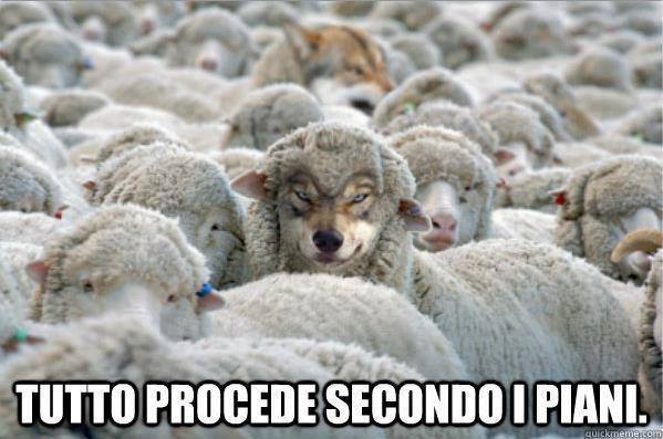 Immagine Divertente - 28/05/2013