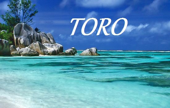 Er tuo segno zodiacale per ogni spiaggia: TORO