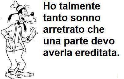 Immagine Divertente - 06/07/2013