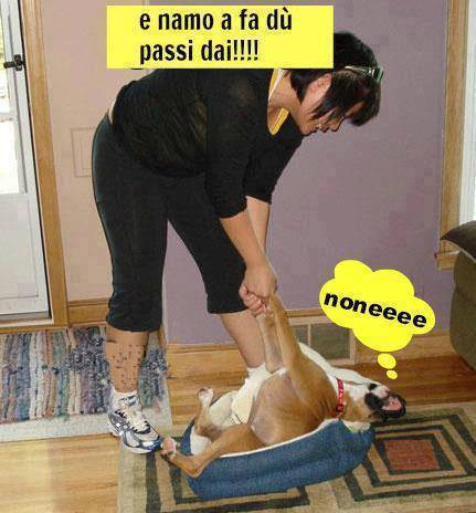 Vignetta Divertente - 05/10/2013