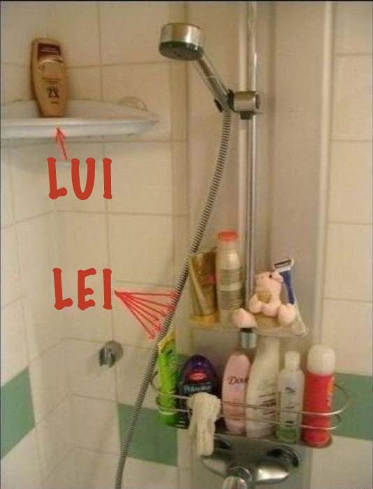 Immagine Divertente - 07/03/2013