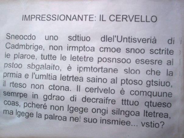 Immagine Divertente - 07/03/2013