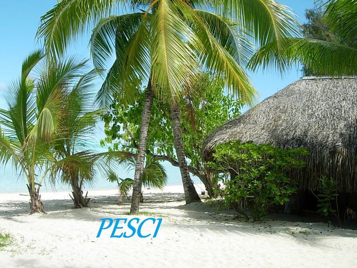 Er tuo segno zodiacale per ogni spiaggia: PESCI - 10/05/2012