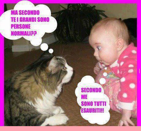 Vignetta Divertente - 07/03/2013