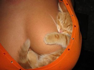 Immagine Divertente - 25/03/2012