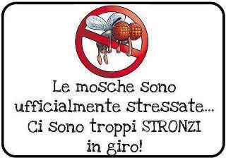 Vignetta Divertente - 11/05/2012
