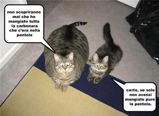 Immagine Divertente - 13/05/2012