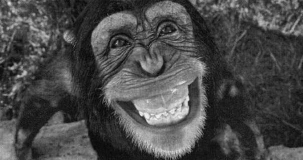 'O SAI E DONNE CADONO TUTTE AI MIEI PIEDI... JE FACCIO O SGAMBETTO !! - 13/03/2012