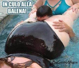 Immagine Divertente - 26/04/2012