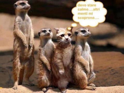 Vignetta Divertente - 07/03/2013