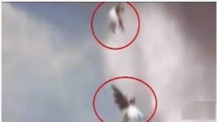 ROMA: RIPRESI DEGLI ANGELI MENTRE VOLANO IN CIELO? - IL VIDEO DA BRIVIDI FA IL GIRO DEL MONDO - 25/12/2017