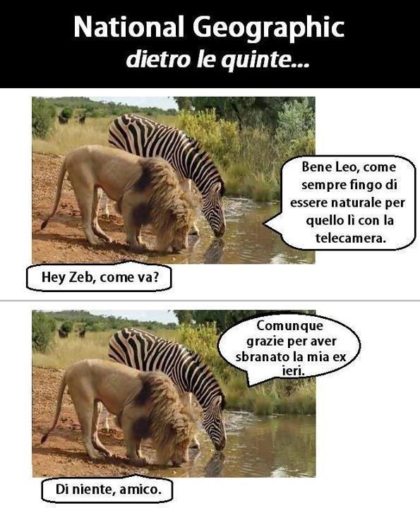 Vignetta Divertente - 11/03/2013