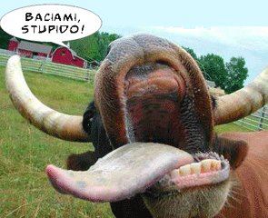 Vignetta Divertente - 11/03/2013