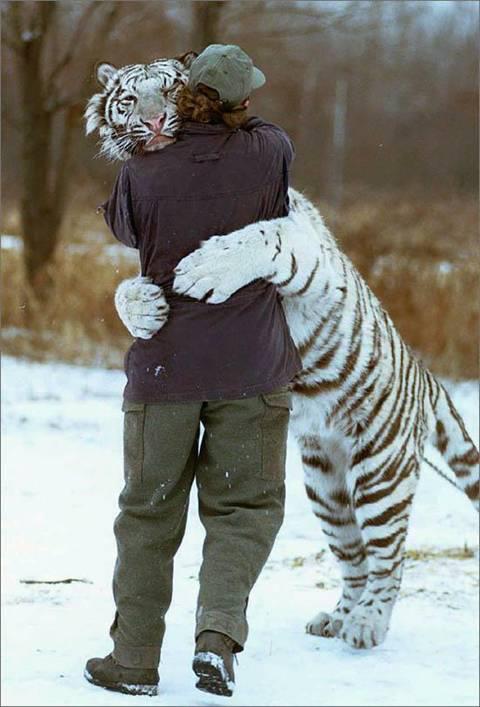 Immagine Divertente - 25/03/2012