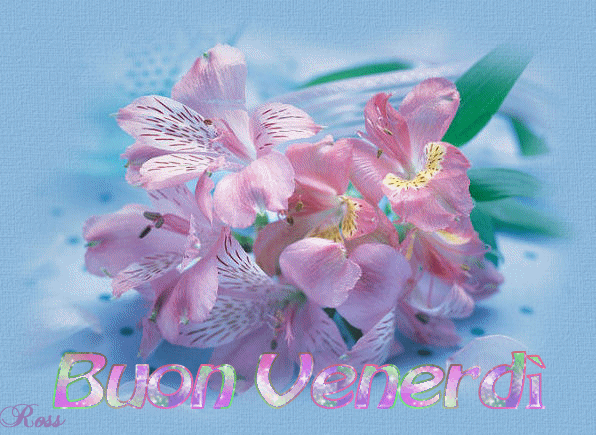 *** BUON GIORNO E BUON VENERDI' *** - 19/04/2012