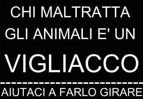 DAJE FALLO GIRA' !! - 30/03/2012